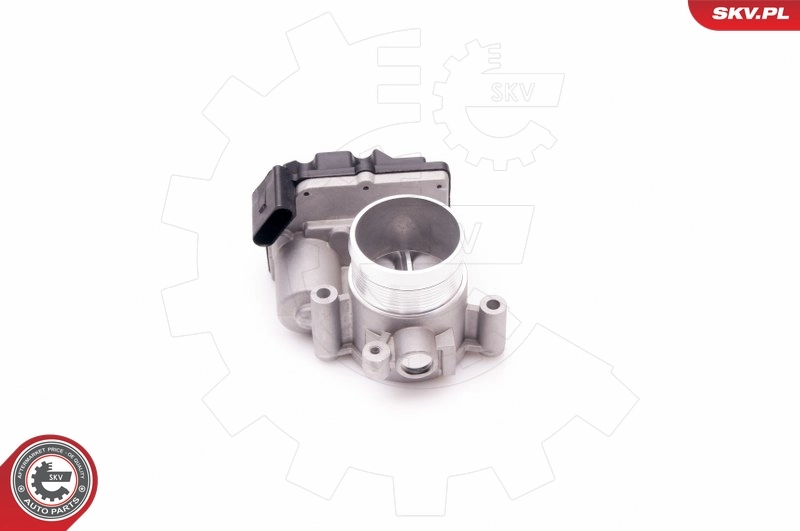Throttle Body 12SKV064