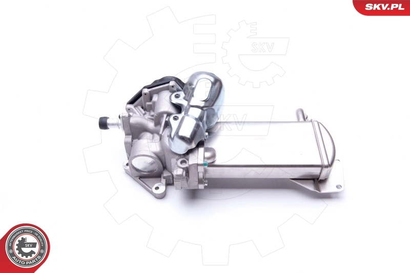 EGR Valve 14SKV152