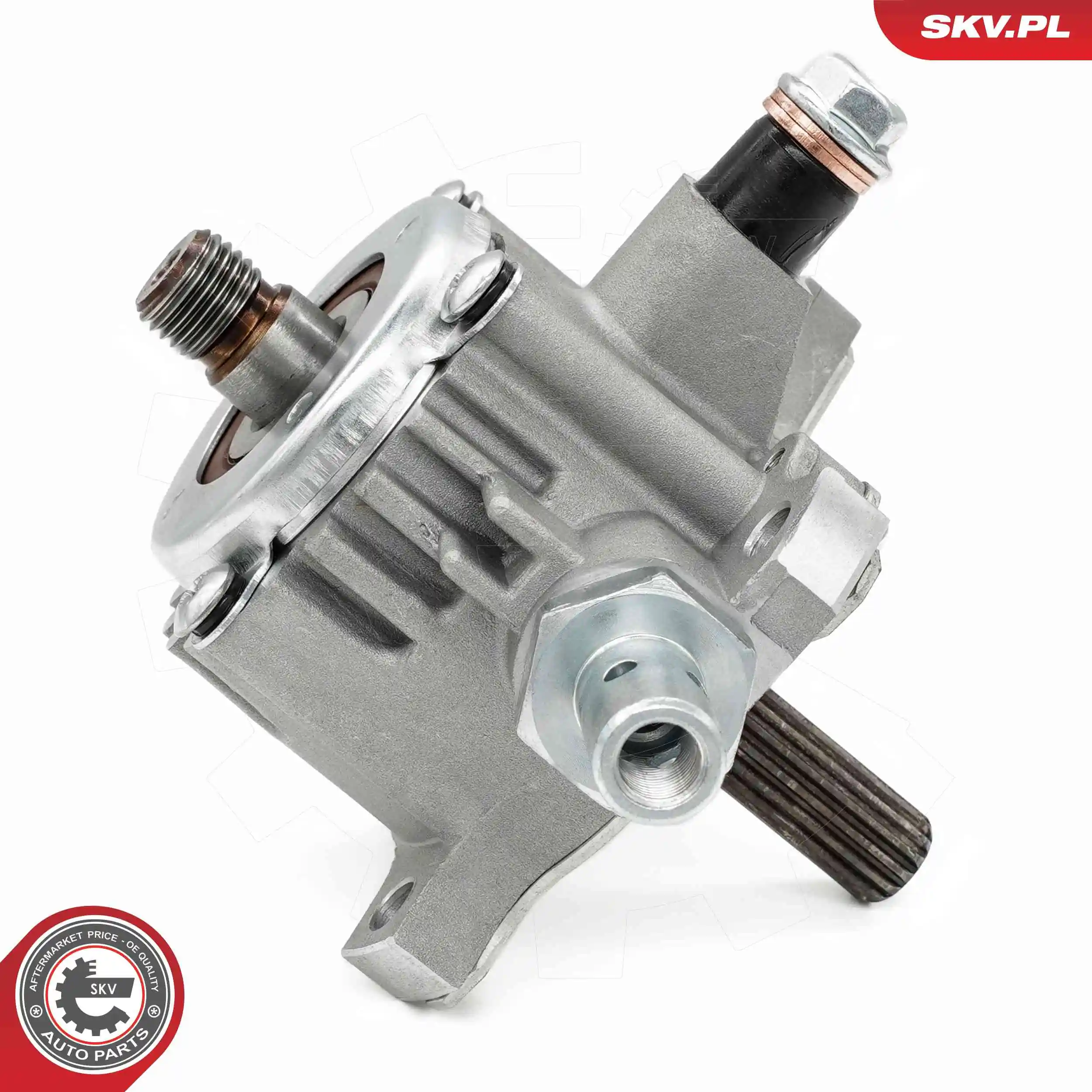 Vacuum Pump, braking system 18SKV066