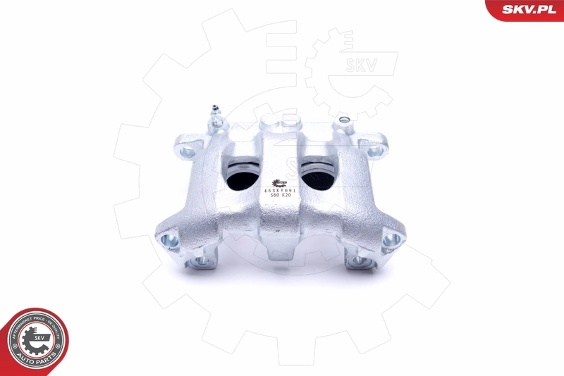 Brake Caliper 46SKV091