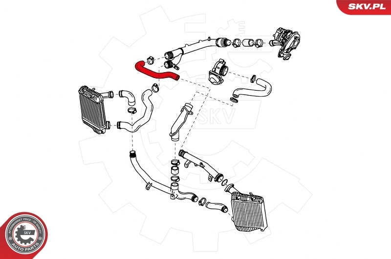 Charge Air Hose 24SKV954