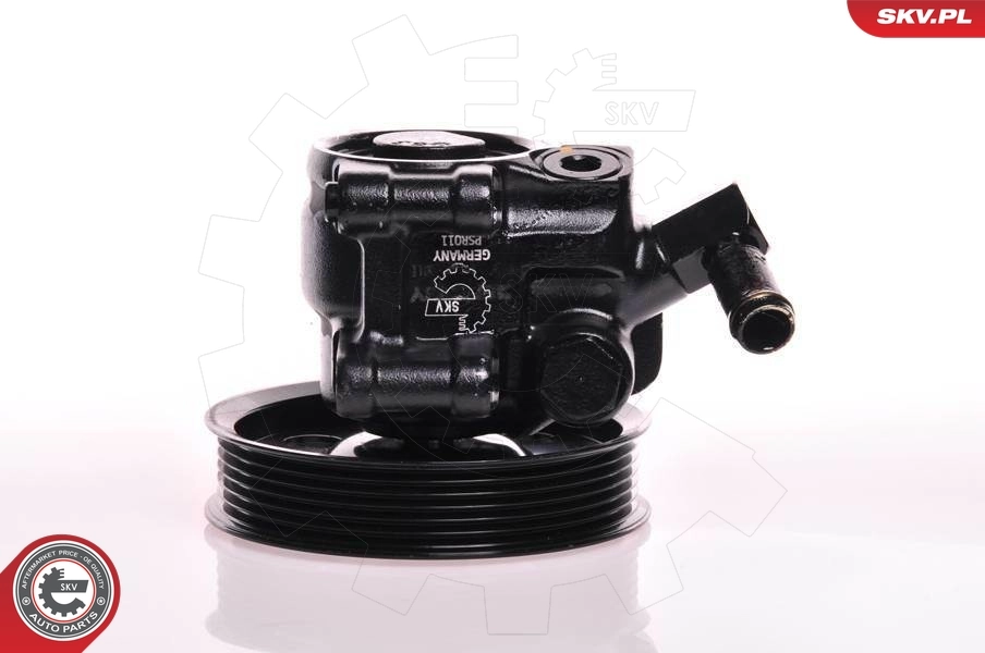 Hydraulic Pump, steering 10SKV019