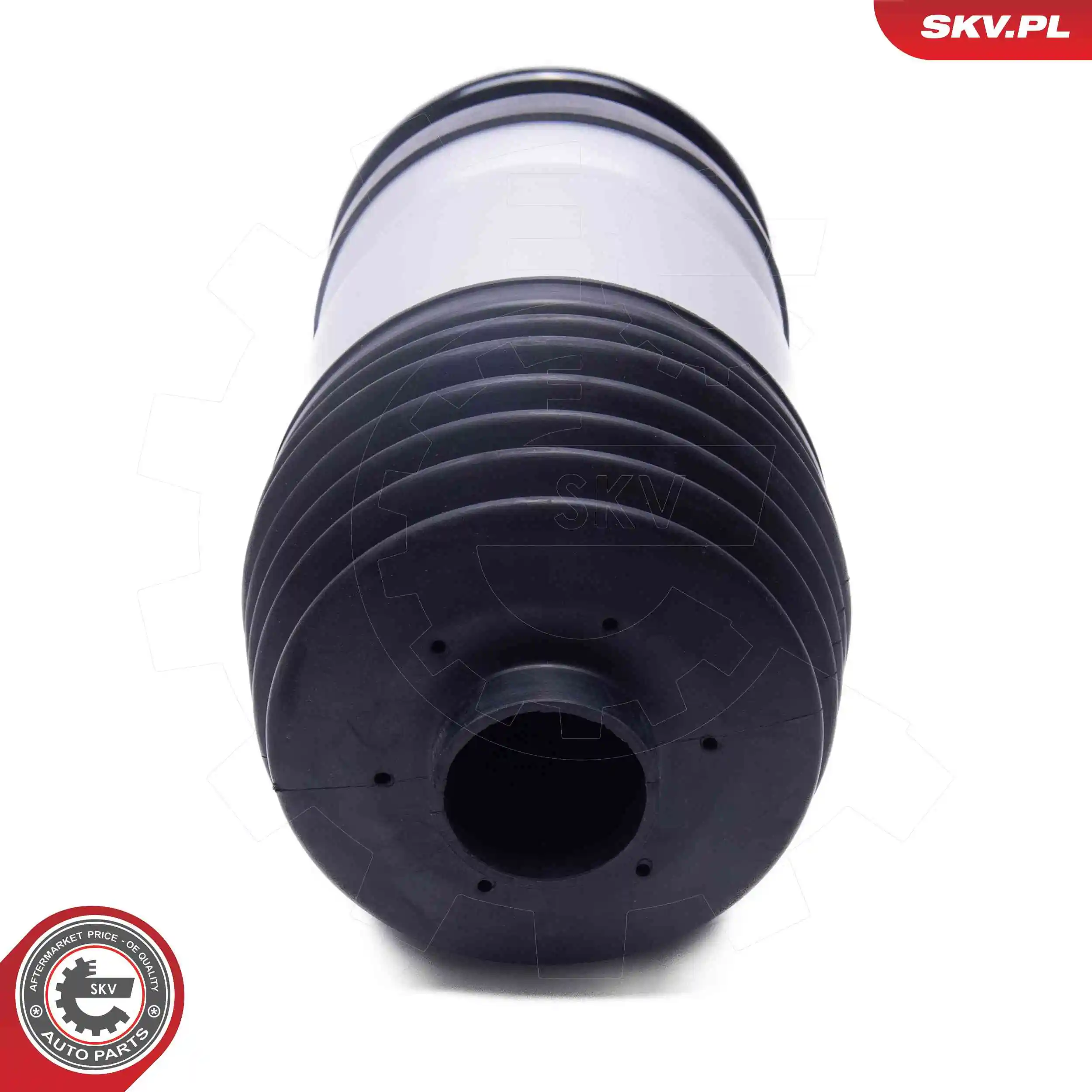Air Spring, suspension 58SKV088