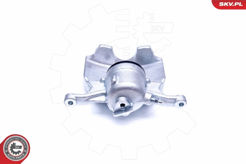 Brake Caliper 44SKV371