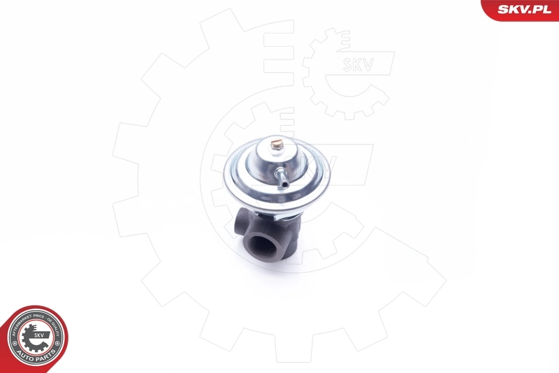 ESEN SKV 14SKV187 EGR Valve