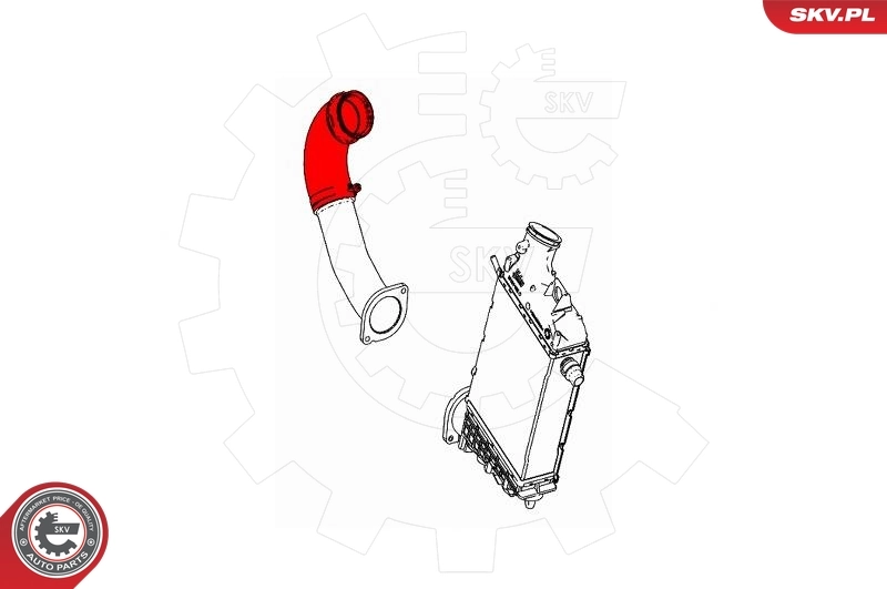 Charge Air Hose 43SKV239