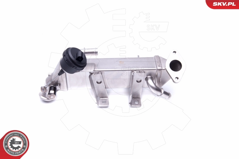 Cooler, exhaust gas recirculation 14SKV198