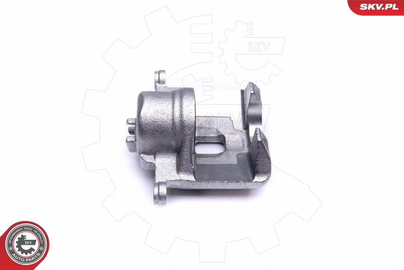 Brake Caliper 45SKV002