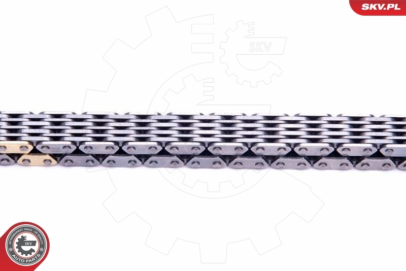 Timing Chain Kit 21SKV217