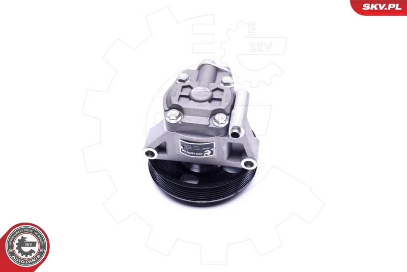Hydraulic Pump, steering 10SKV038