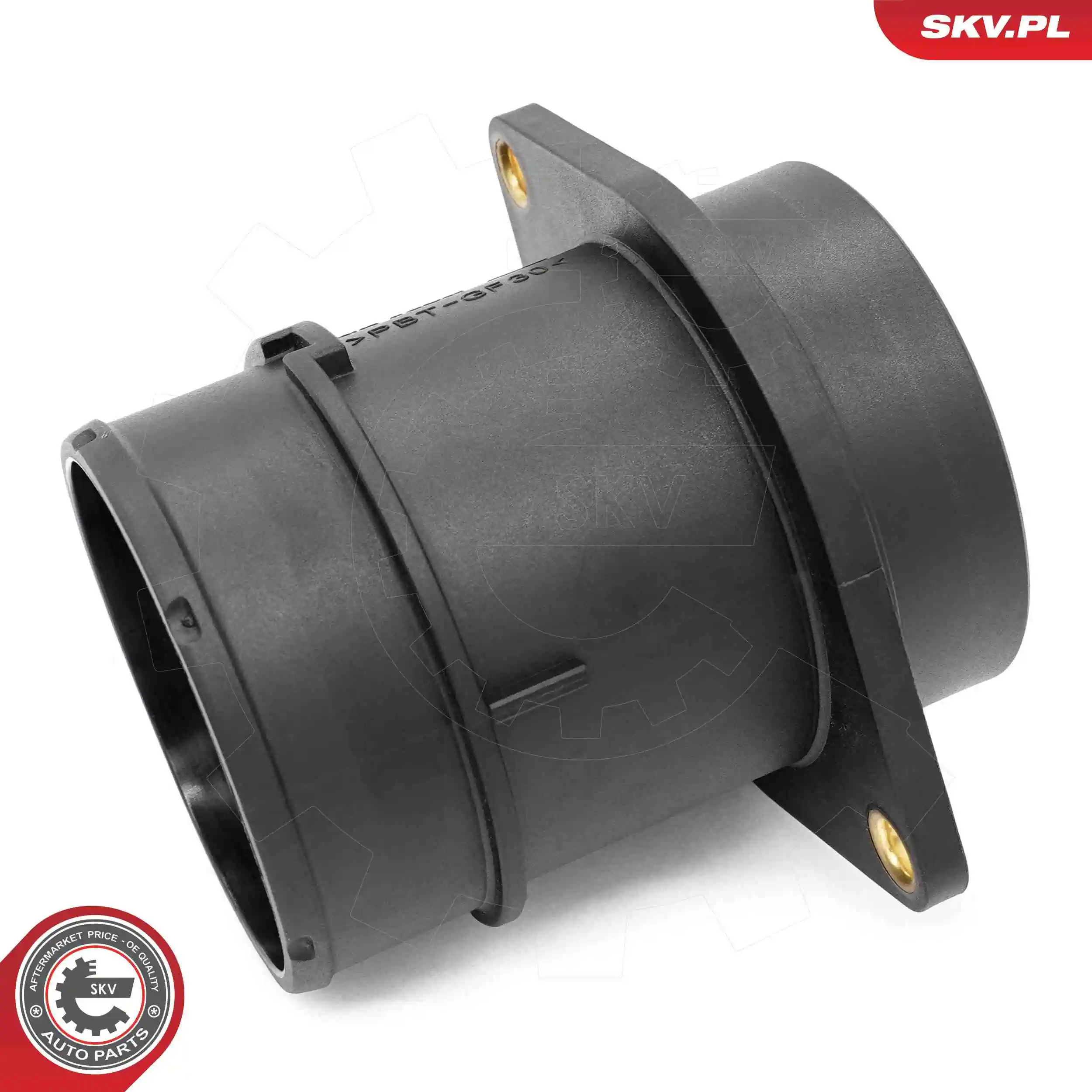 Mass Air Flow Sensor 07SKV249