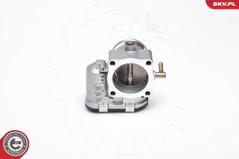 Throttle Body 12SKV008
