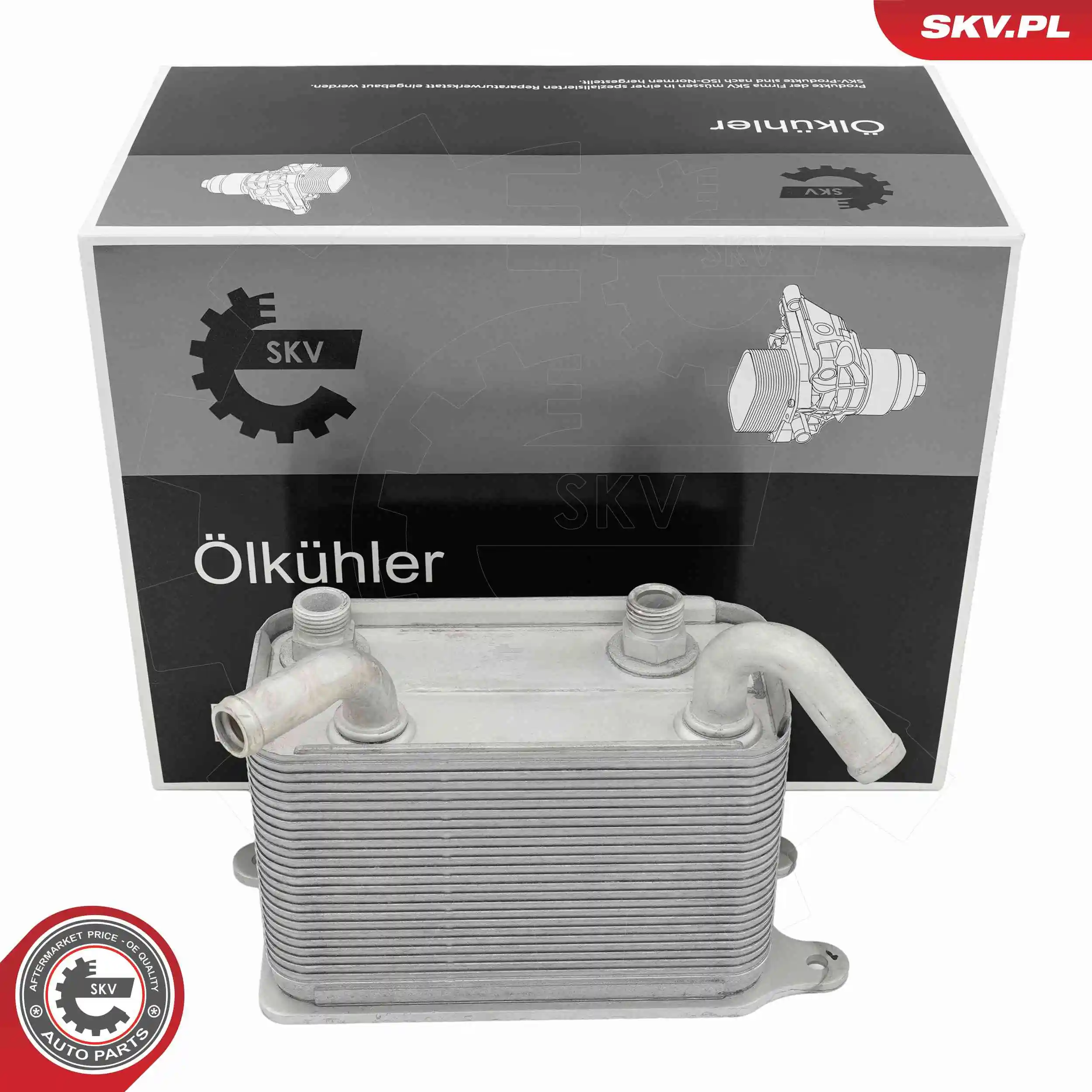 Oil Cooler, engine oil 31SKV353