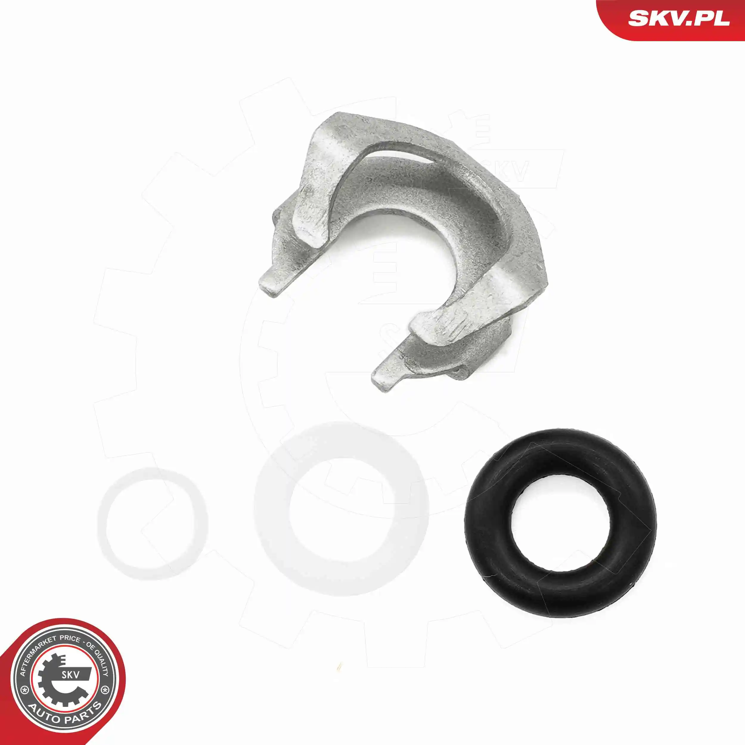 ESEN SKV 53SKV199 Seal Ring Set, injection valve