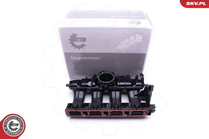 Intake Manifold Module 49SKV009