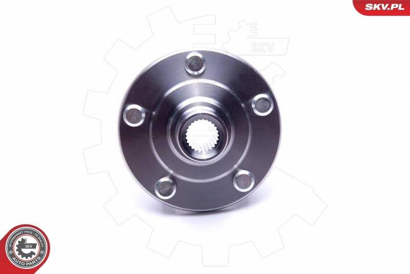 ESEN SKV 29SKV510 Wheel Bearing Kit