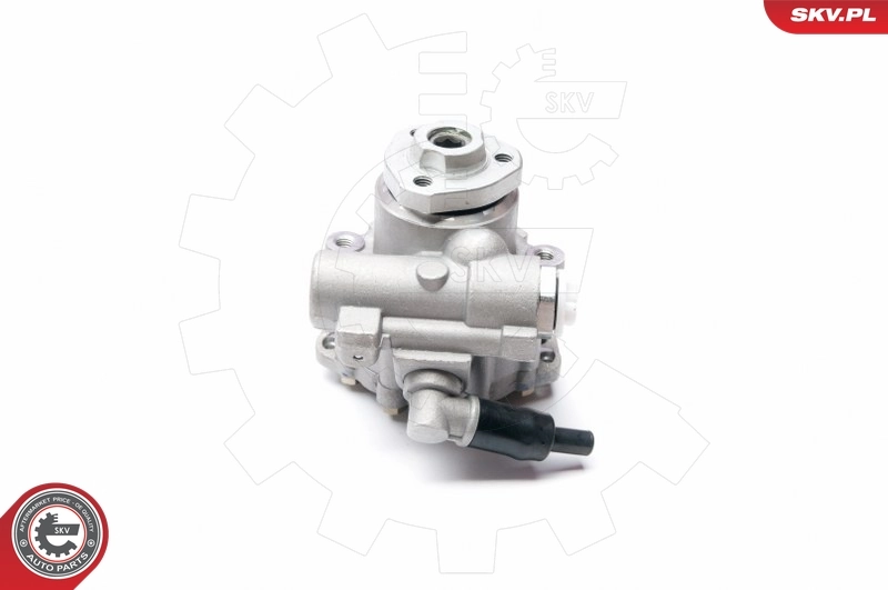 Hydraulic Pump, steering 10SKV223