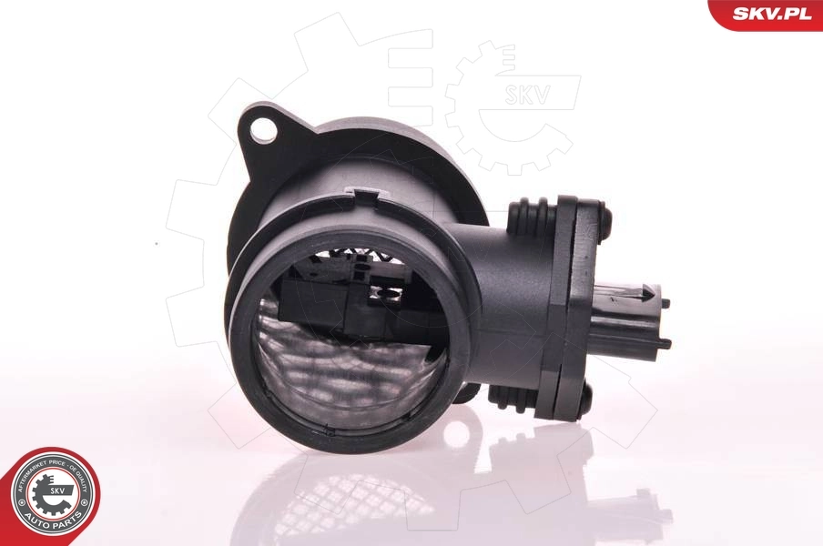 Mass Air Flow Sensor 07SKV095