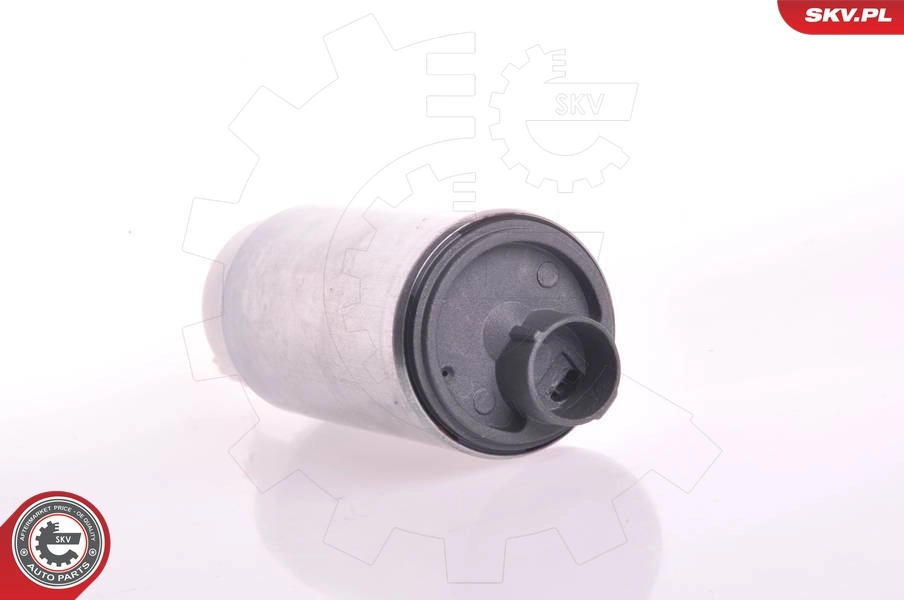 Fuel Pump 02SKV257