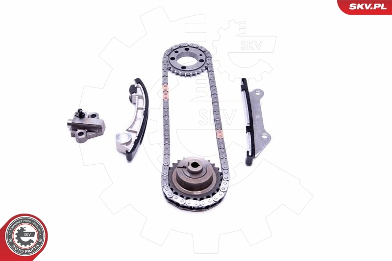 ESEN SKV 21SKV205 Timing Chain Kit