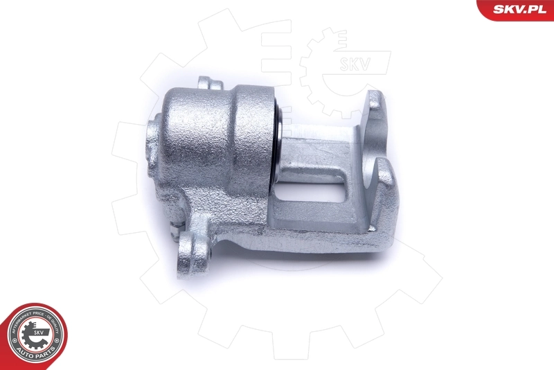 Brake Caliper 50SKV463