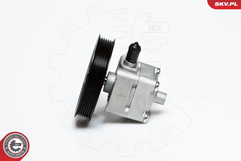 Hydraulic Pump, steering 10SKV028