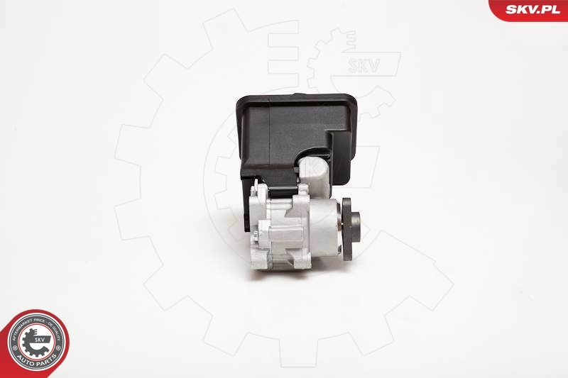 Hydraulic Pump, steering 10SKV012