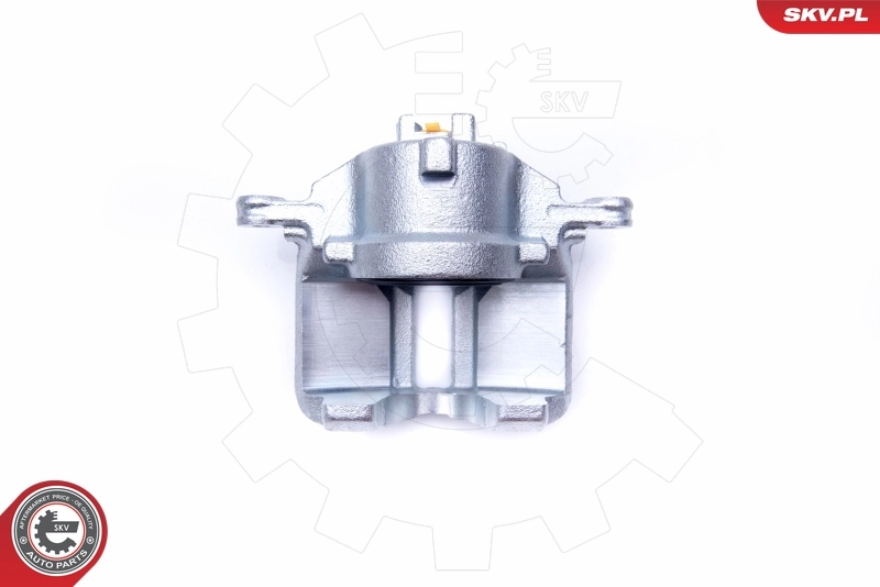 Brake Caliper 42SKV182