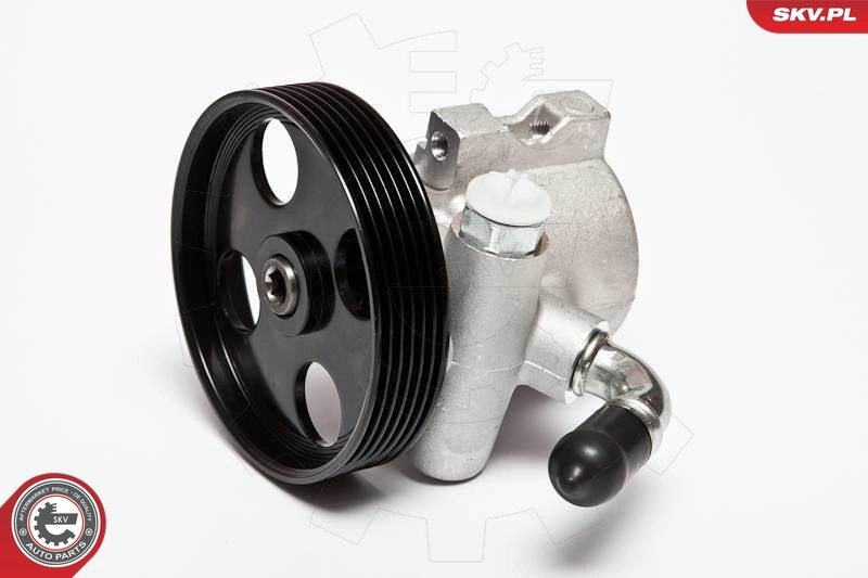 Hydraulic Pump, steering 10SKV062