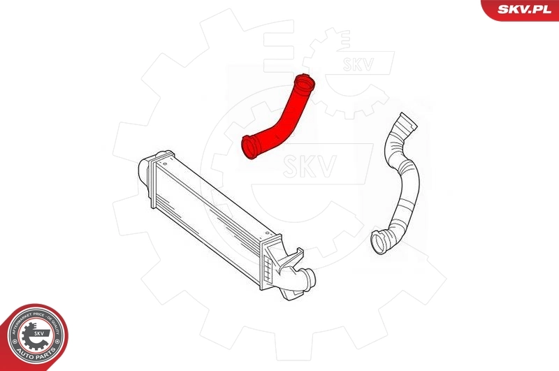 Charge Air Hose 43SKV233
