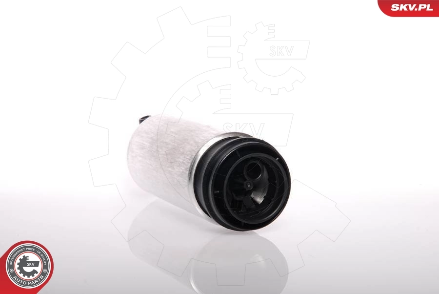 Fuel Pump 02SKV242