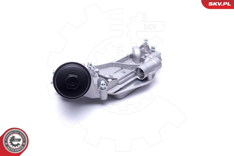 Oil Cooler, engine oil 31SKV177