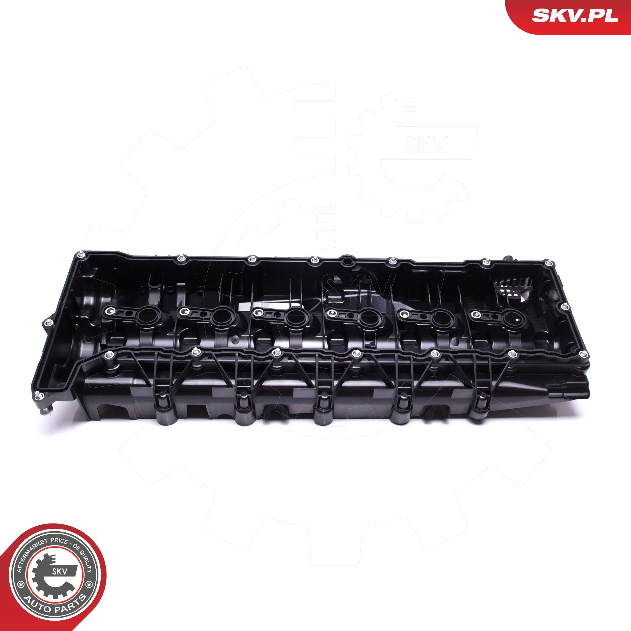 Cylinder Head Cover 48SKV075