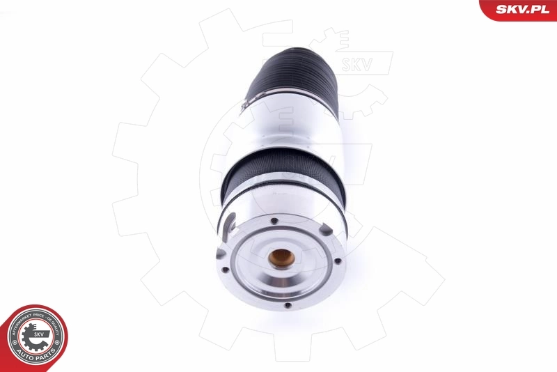 Air Spring, suspension 58SKV035