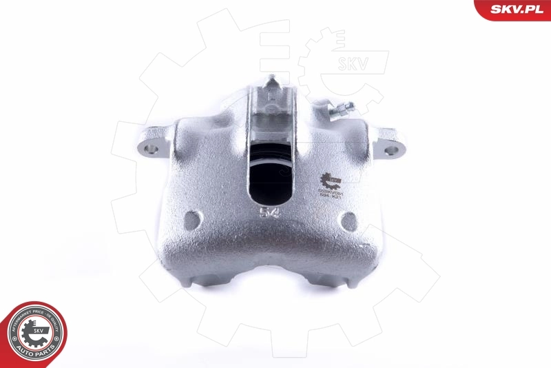 Brake Caliper 55SKV051