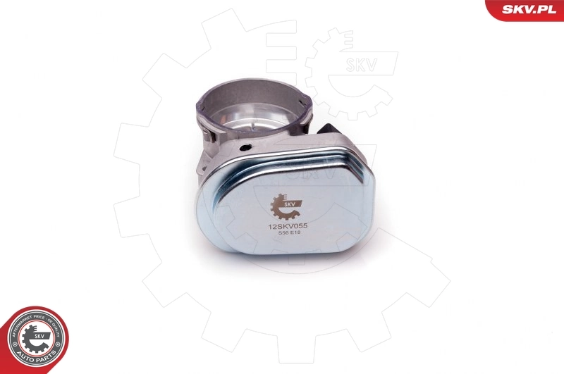 Throttle Body 12SKV055