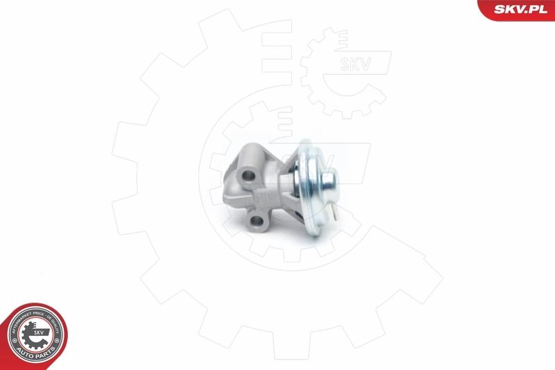 EGR Valve 14SKV104