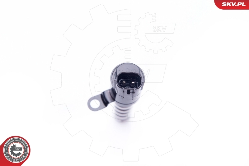 Control Valve, camshaft adjustment 39SKV019