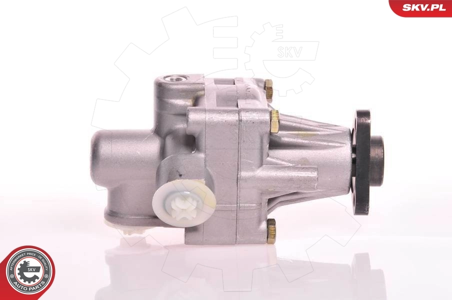 Hydraulic Pump, steering 10SKV125