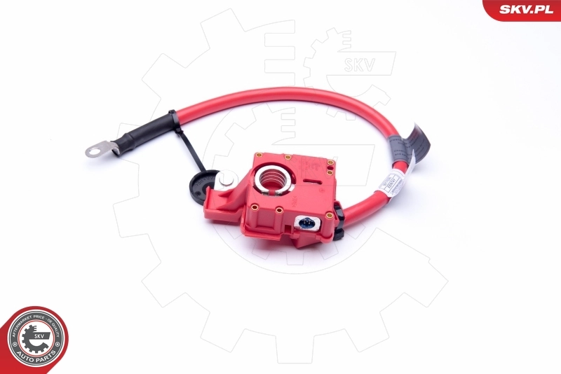 ESEN SKV 96SKV302 Battery Adapter