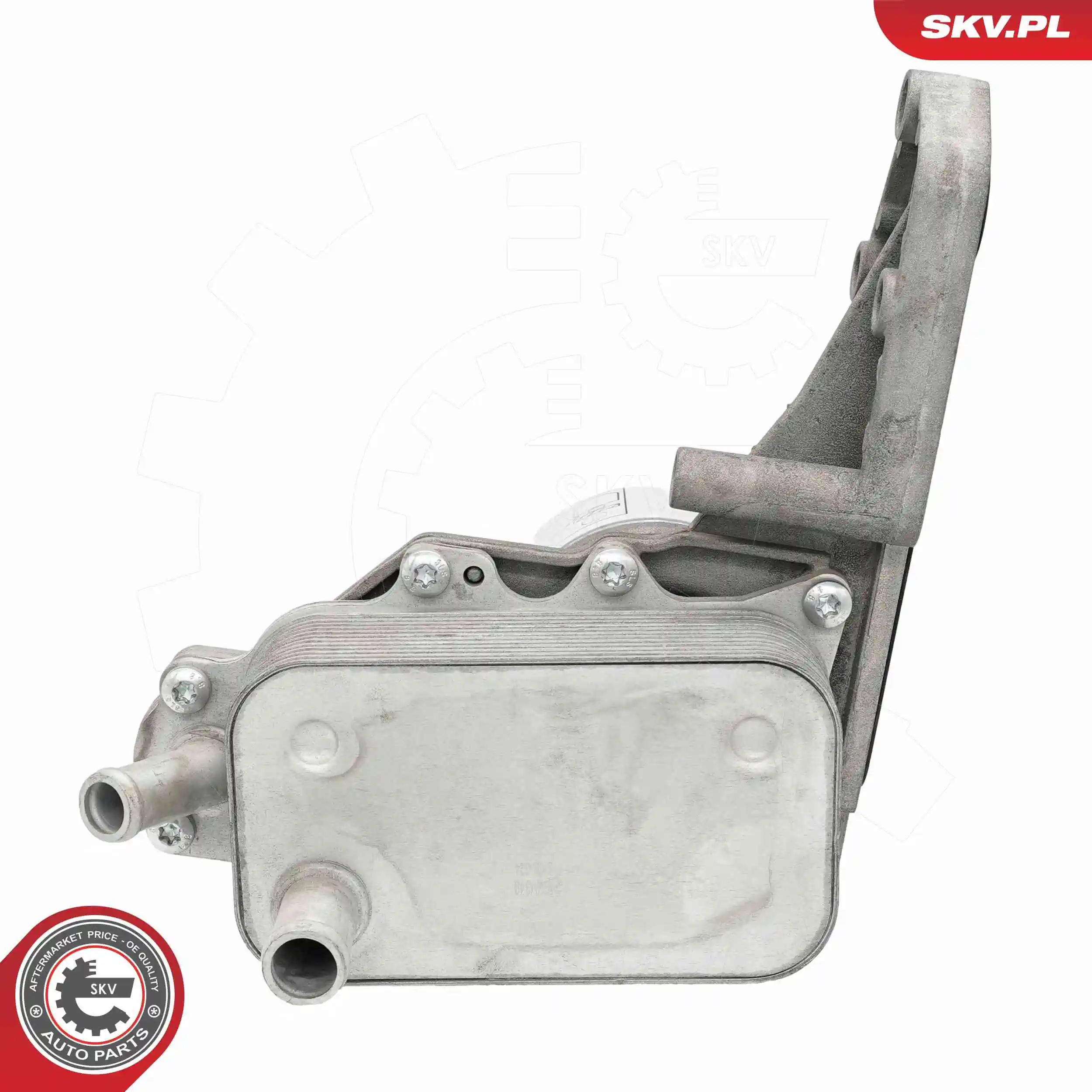 Oil Cooler, engine oil 31SKV340