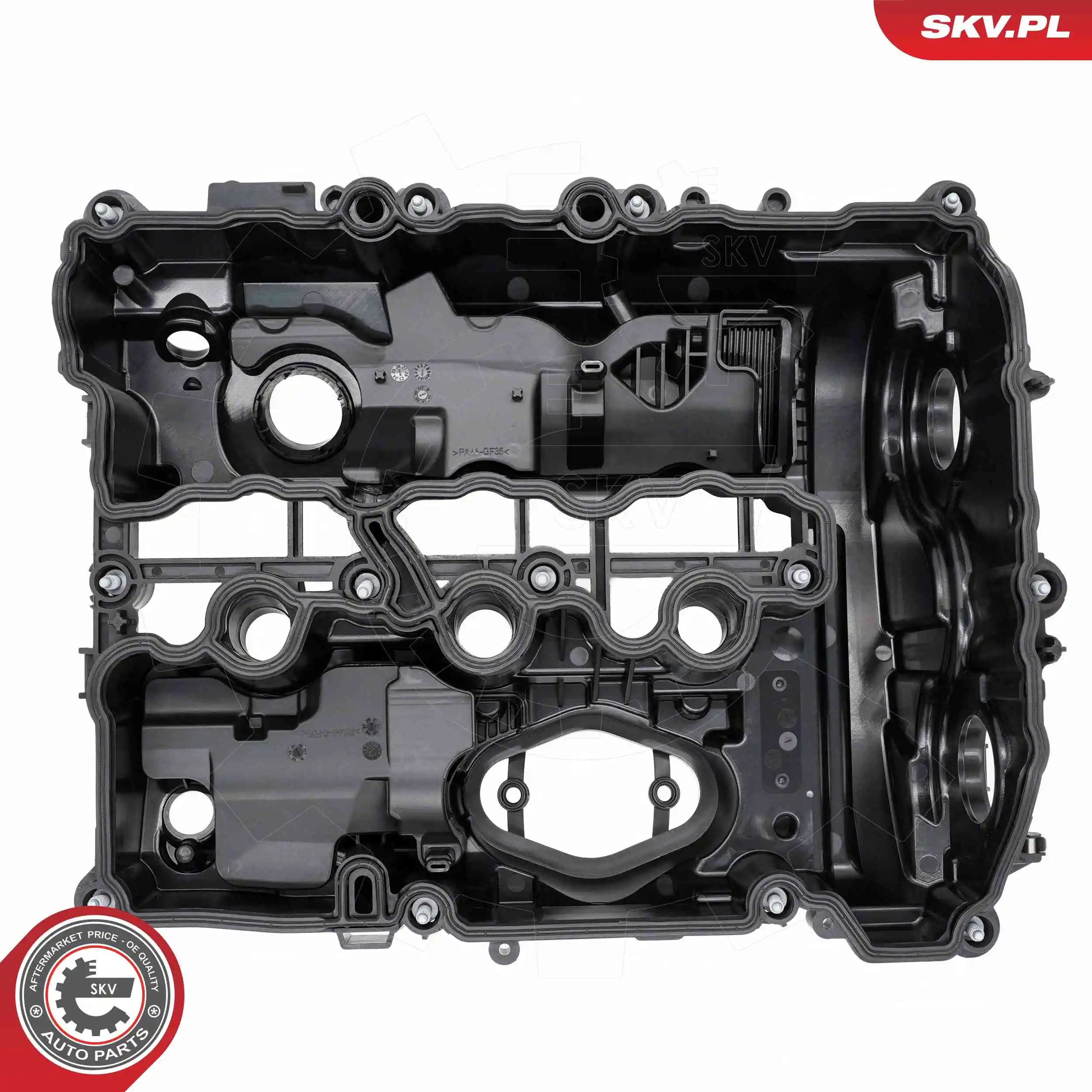 Cylinder Head Cover 48SKV108