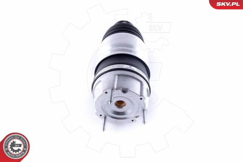 Air Spring, suspension 58SKV047