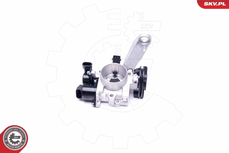 Throttle Body 12SKV083