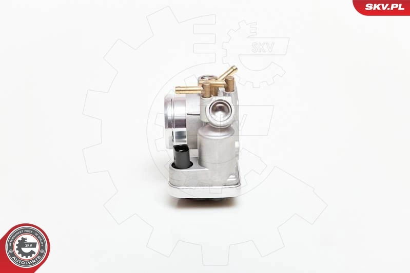 Throttle Body 12SKV032