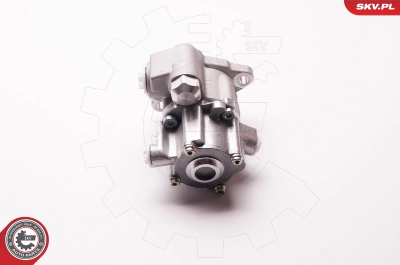 ESEN SKV 1SKV0004 Hydraulic Pump, steering