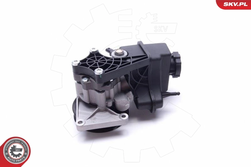 Hydraulic Pump, steering 10SKV307