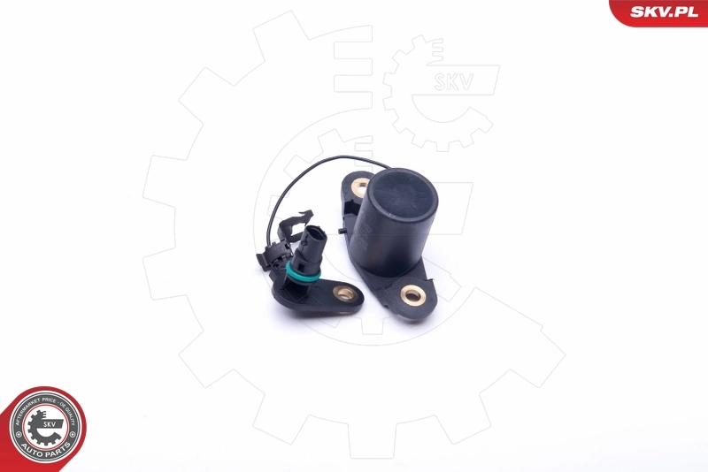 Sensor, engine oil level 17SKV401