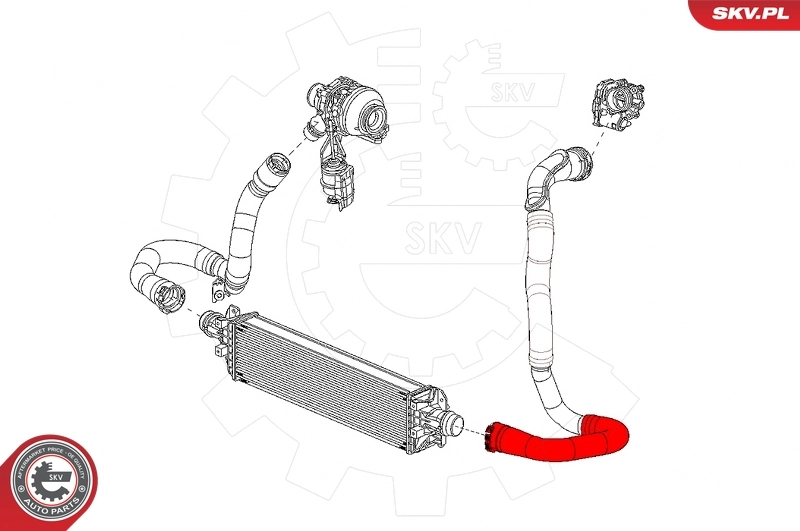 Charge Air Hose 43SKV398