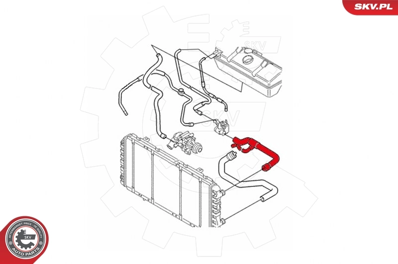Radiator Hose 24SKV322
